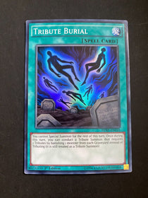 Yugioh Tribute Burial DPRP-EN010 Super Rare 1st Edition HP