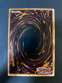 Yugioh Veil of Darkness GLAS-EN088 Secret Rare 1st Edition NA NM
