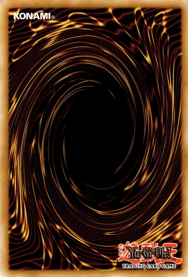 Yugioh Blackwing - Backlash DP11-EN025 Common 1st Edition NM