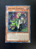 Yugioh Traptrix Vesiculo SDBT-EN008 Common 1st Edition NM