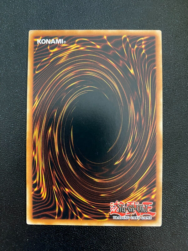 Yugioh Blooming of the Darkest Rose LDS2-EN120 Common 1st Edition VLP/NM