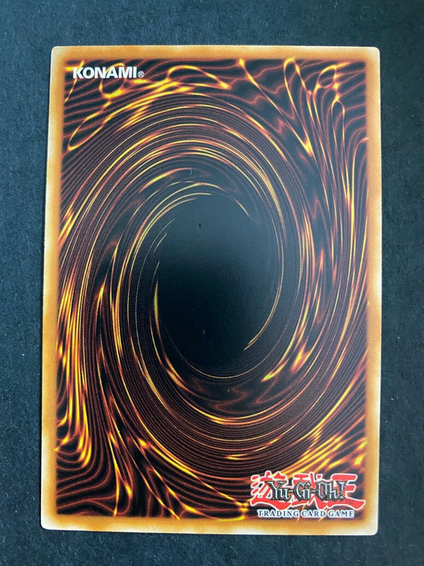 Yugioh Magnetic Field SDMY-EN024 Common 1st Edition LP