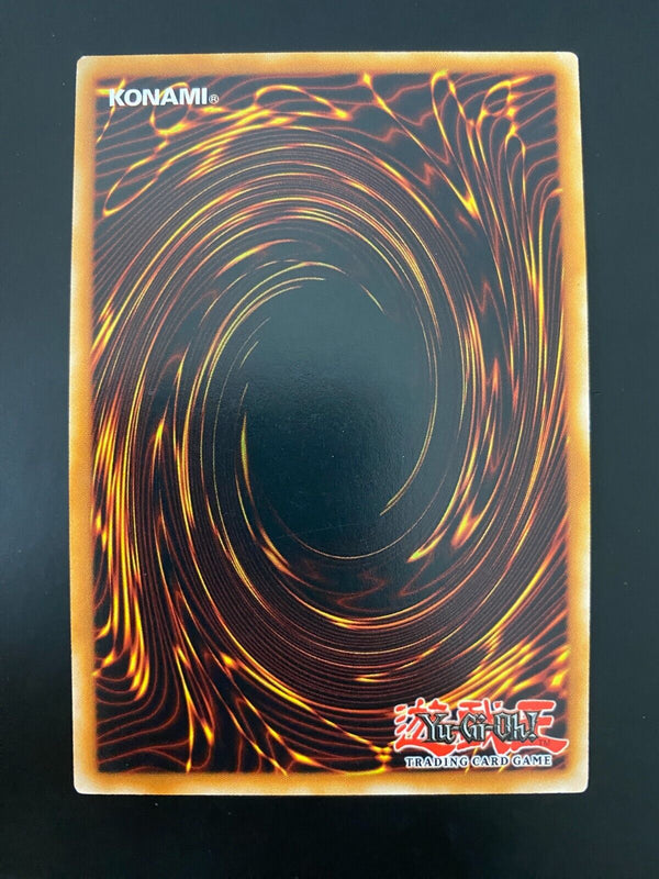 Yugioh Tri-Brigade Nervall PHRA-EN006 Common 1st Edition NM/MINT