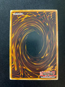 Yugioh Regulus SOVR-EN007 Common 1st Edition HP