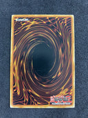 Yugioh Raidraptor - Singing Lanius CORE-EN014 Common 1st Edition NM