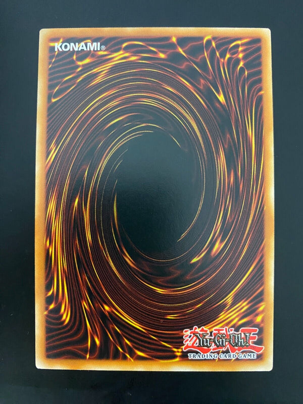 Yugioh Dedication through Light and Darkness YGLD-ENC31 Common 1st Ed NM/MINT