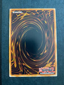 Yugioh Tearlaments Heartbeat DABL-EN057 Common 1st Edition VLP/NM