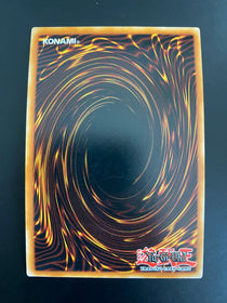 Yugioh Realm of Danger! CYHO-EN086 Ultra Rare 1st Edition VLP