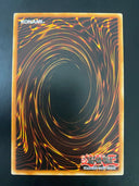 Yugioh Rainbow Dark Dragon RYMP-EN099 Common 1st Edition VLP