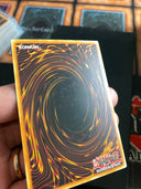 Yugioh Greenkappa TU06-EN014 Common Unlimited Edition MP/LP