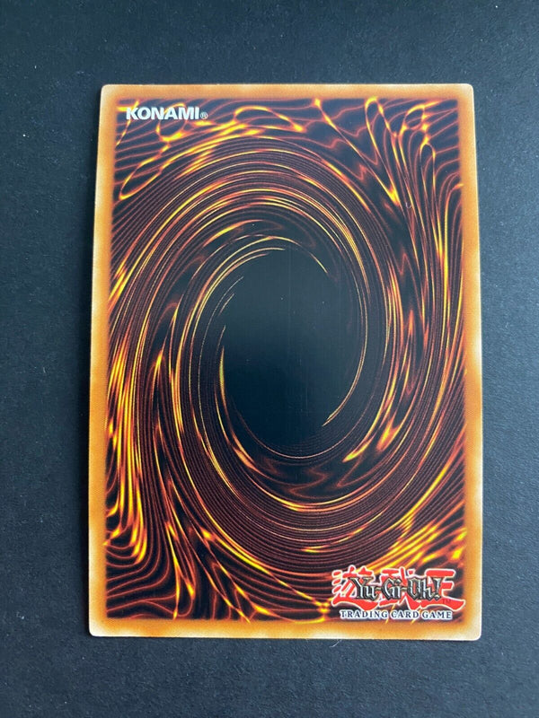 Yugioh Paleozoic Dinomischus SR13-EN039 Common 1st Edition NM