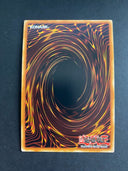 Yugioh Paleozoic Dinomischus SR13-EN039 Common 1st Edition NM