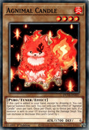 Yugioh Agnimal Candle DUNE-EN027 Common 1st Edition NM