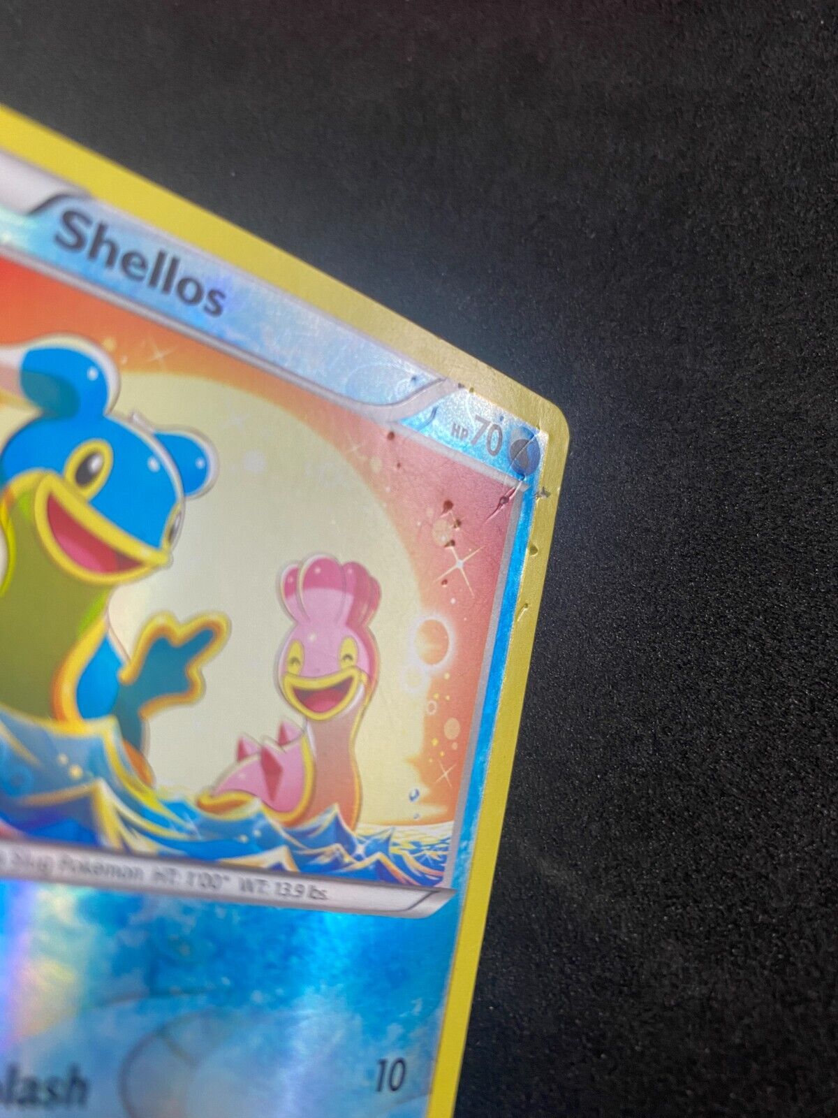 Pokemon Shellos 28/114 Steam Siege Reverse Holo HP