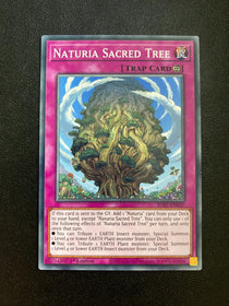 Yugioh Naturia Sacred Tree SDBT-EN037 Common 1st Edition NM