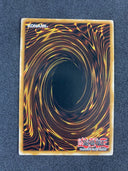 Yugioh Blackwing-Bora The Spear DP11-EN002 1st Edition Rare NM