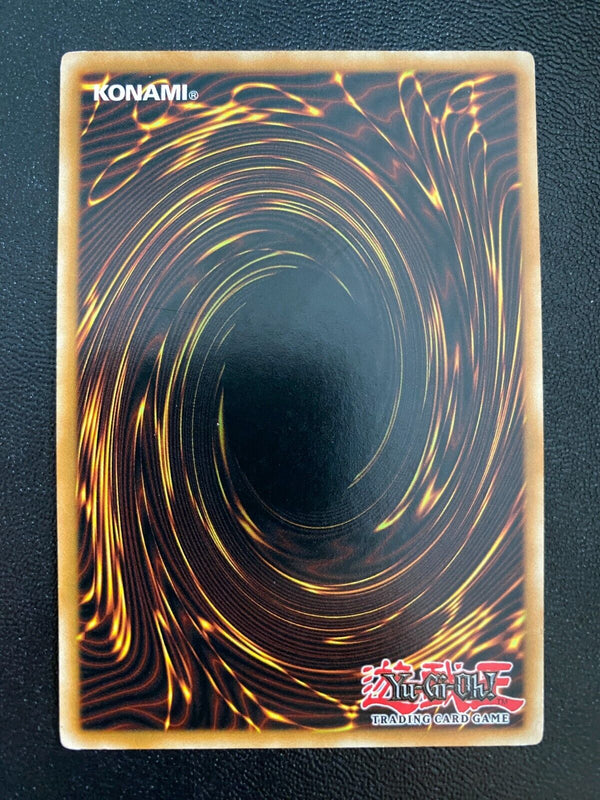 Yugioh Dragunity Militum SDDL-EN008 Common 1st Edition NM