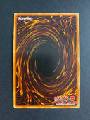 Yugioh Deck Devastation Virus SDGU-EN033 Common 1st Edition LP