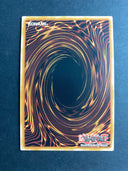Yugioh Magician's Salvation LART-EN060 Ultra Rare Limited Edition NM