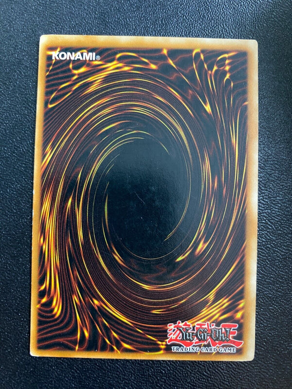 Yugioh Dragunity Dux SDDL-EN004 Common 1st Edition MP