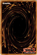 Yugioh The 13th Grave LOB-014 Common Unlimited Edition DAMAGED