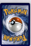 Pokemon Houndoom V 021/189 Darkness Ablaze Full Art Holo NM