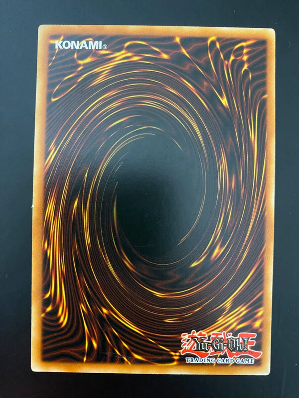 Yugioh Shield Warrior DP08-EN007 Common 1st Edition VLP