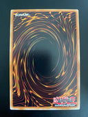 Yugioh Jurrac Dino HA04-EN015 Super Rare 1st Edition NM/MINT (N)