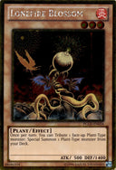 Yugioh Lonefire Blossom PGLD-EN034 Gold Rare Unlimited Edition MP