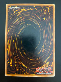 Yugioh Babycerasaurus POTD-EN022 1st Edition Common LP