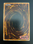 Yugioh Lost Guardian TU08-EN007 Unlimited Edition Rare LP