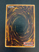 Yugioh Gokibore MDP2-EN009 Rare Limited Edition HP