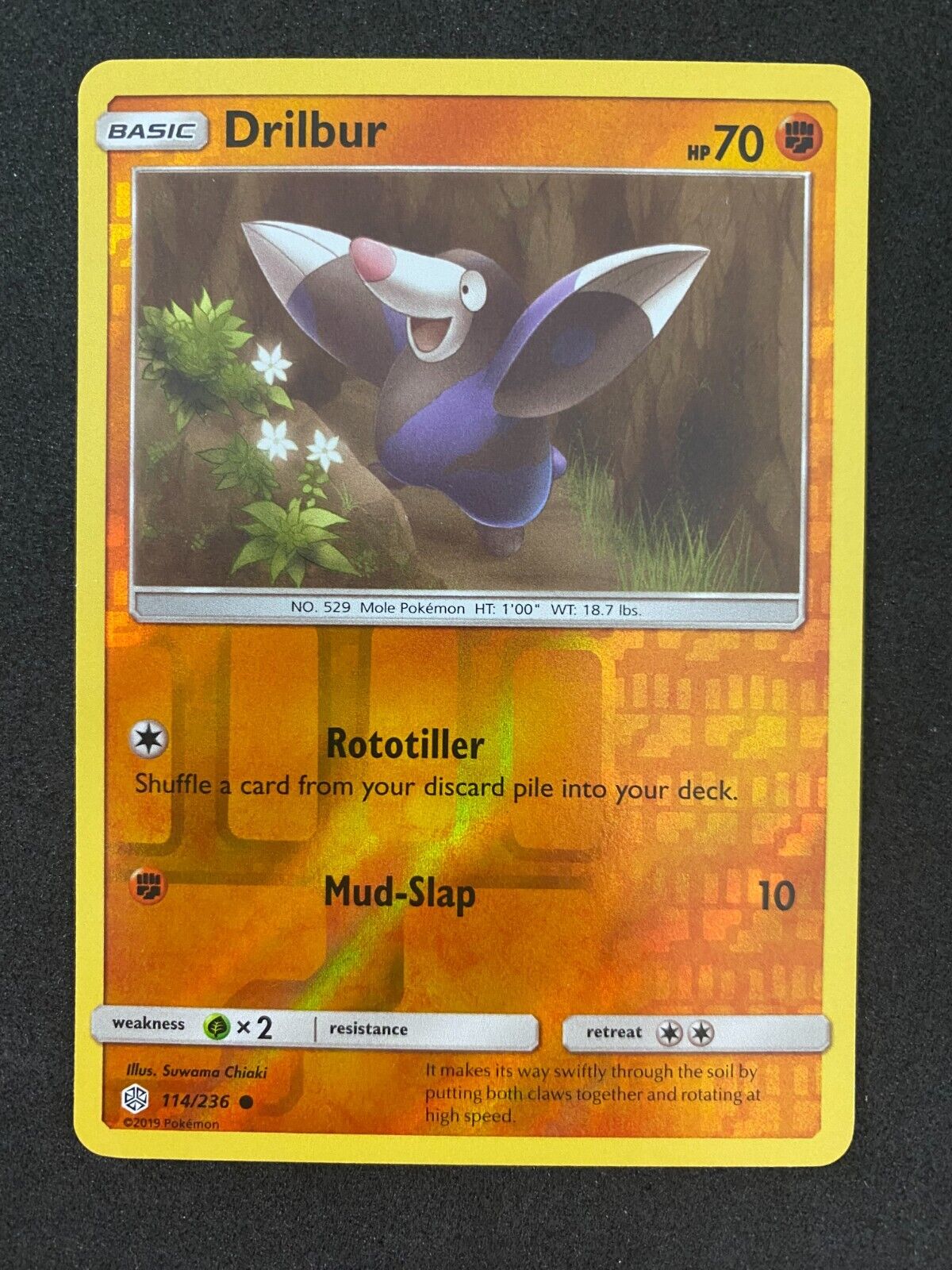 Pokemon Drilbur 114/236 Cosmic Eclipse Reverse Holo NM