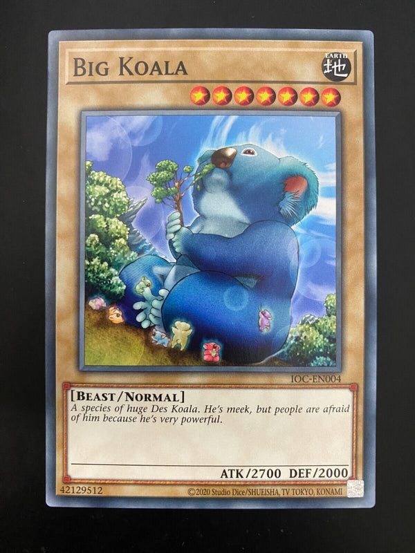 Yugioh Big Koala IOC-EN004 Common Unlimited Edition NM/MINT