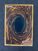 Yugioh Trap of the Imperial Tomb CSOC-EN077 Rare Unlimited NM