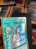 Yugioh Forbidden Lance PGLD-EN048 Gold Rare Unlimited Edition DMG/HP