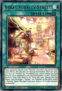 Yugioh Stray Purrely Street AMDE-EN019 Rare 1st Edition NM