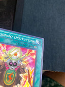 Yugioh Resonant Destruction EXVC-EN048 Common 1st Edition HP