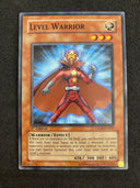 Yugioh Level Warrior DP09-EN007 1st Edition Common NM