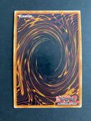 Yugioh Night Papilloperative NUMH-EN048 Super Rare 1st Edition HP