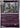 Pokemon Trevenant 039/086 Chaos Rising Reverse Holo NM