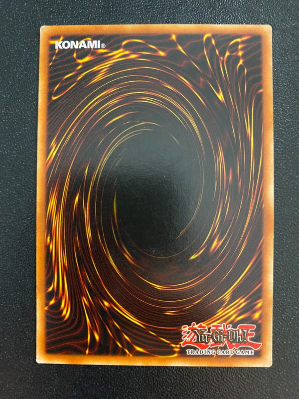 Yugioh Gateway to Dark World SDGU-EN025 Common 1st Edition VLP/NM