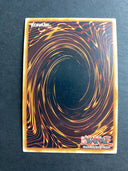 Yugioh Performapal Odd-Eyes Dissolver OP19-EN008 Super Rare Unlimited Ed MP/LP