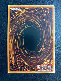 Yugioh Giant Pairfish DOCS-EN037 Rare 1st Edition VLP/NM