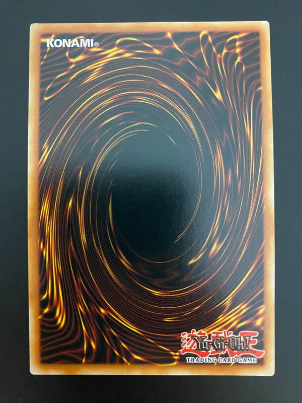 Yugioh Hidden Village of Ninjitsu Arts SHVA-EN014 1st Ed Secret Rare VLP