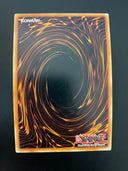 Yugioh Supreme King Gate Infinity MACR-EN018 Super Rare 1st Edition LP