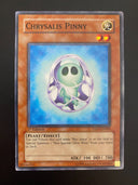 Yugioh Chrysalis Pinny TAEV-EN009 Common 1st Edition VLP/NM