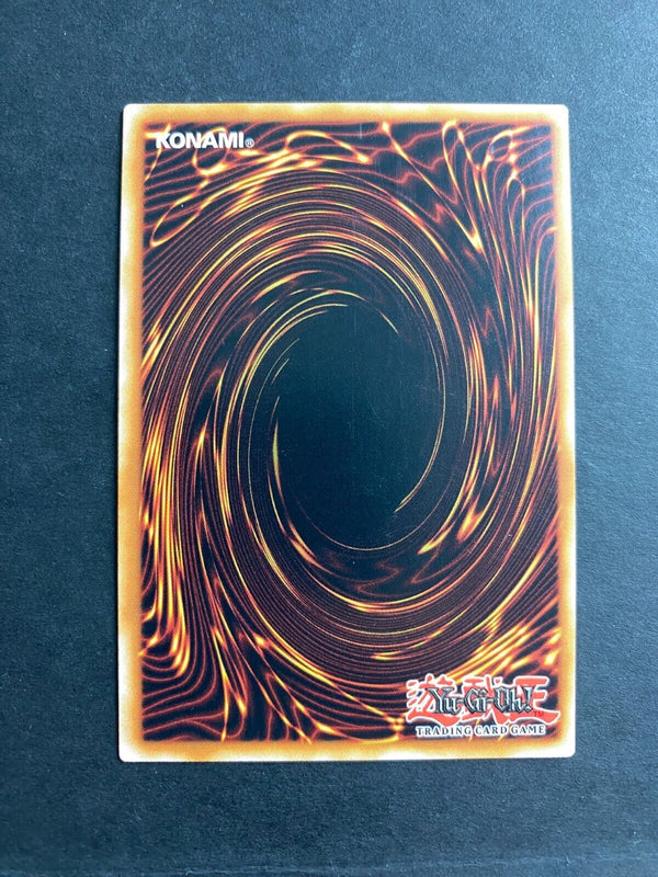 Yugioh Marionette Mite OP24-EN017 Common Unlimited Edition LP