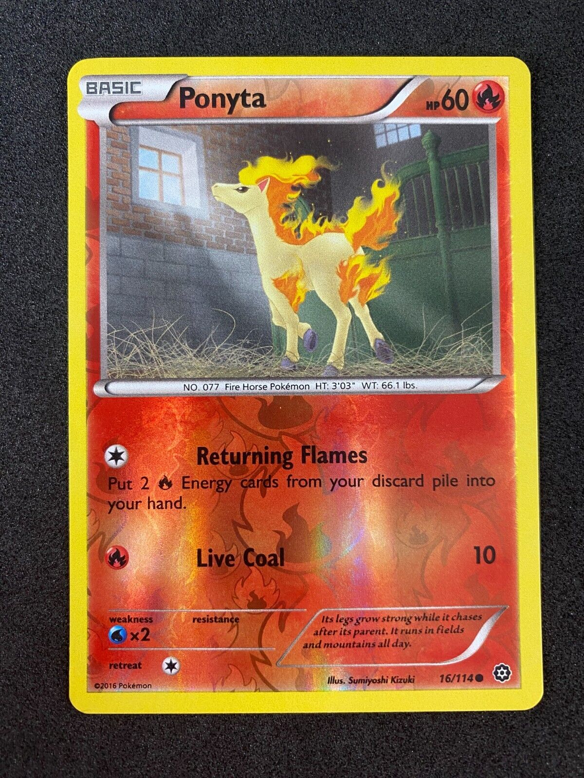 Pokemon Ponyta 16/114 Steam Siege Reverse Holo NM-MINT