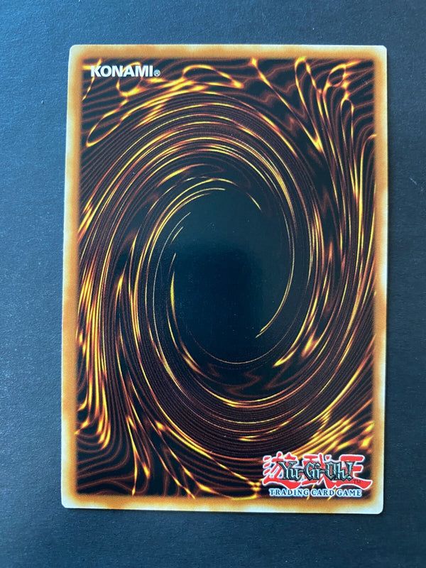 Yugioh Gladiator Beast Secutor GLAS-EN024 Common 1st Edition NM